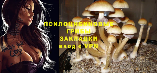 мдма Володарск