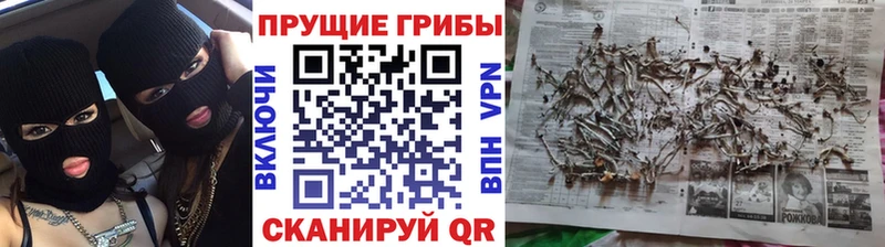 Галлюциногенные грибы прущие грибы  Купить где  Каменск-Шахтинский 